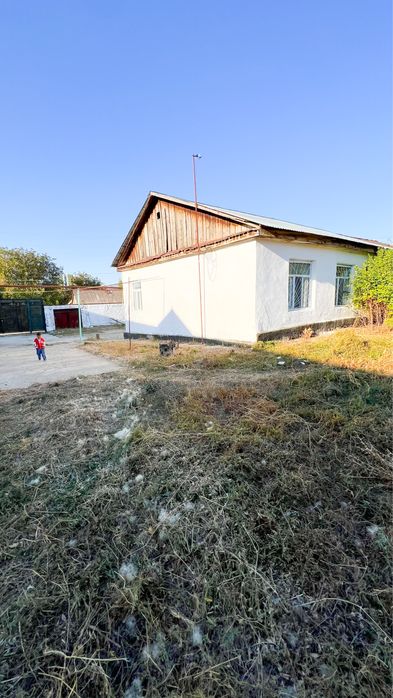 Уй сатамын таусағыз (кенаф) ауылі)