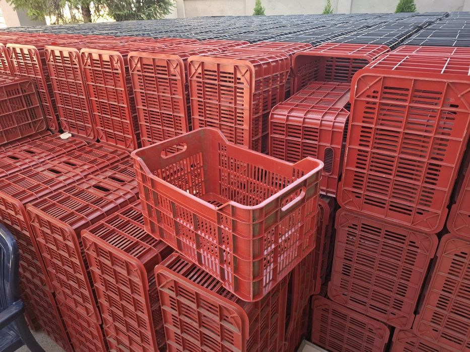 Vând lăzi noi pentru struguri