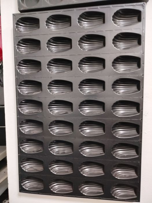 Patnoslar xar xil turi bor