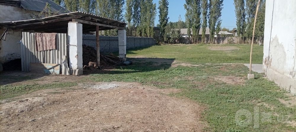 Срочна курик йер сотилади