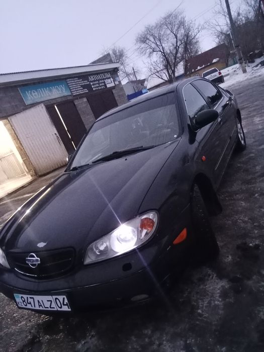 Максима сатылады