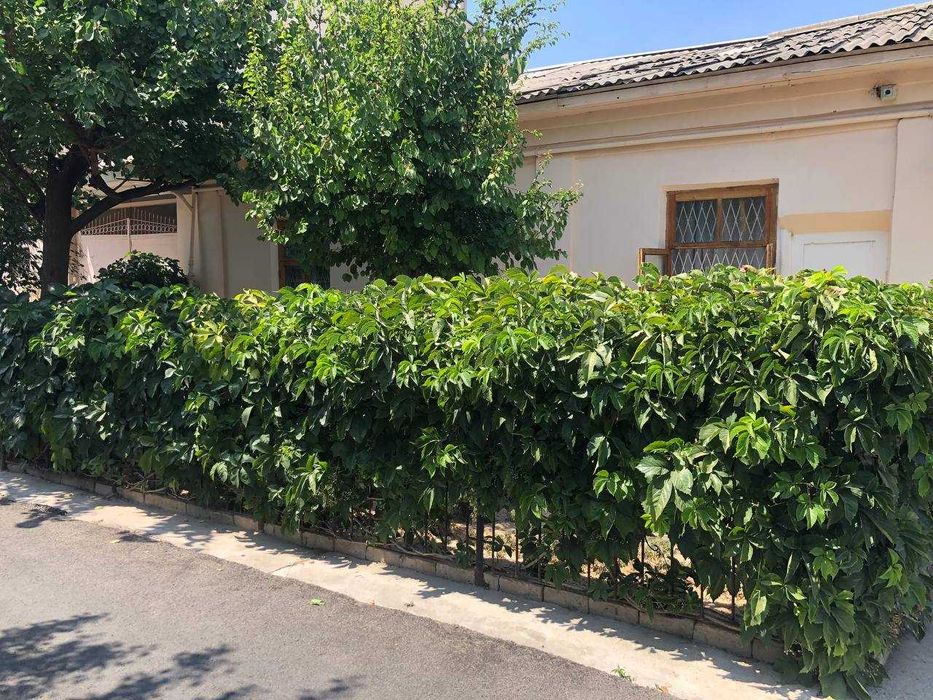 Участок возле гимнастики в юнусабаде