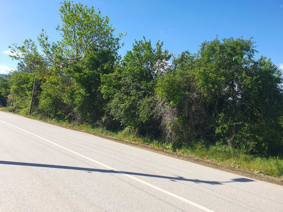 Продава се Парцел в с. Къпиново, Област Велико Търново - 1500 кв.м за 11 €/кв.м - Снимка #1