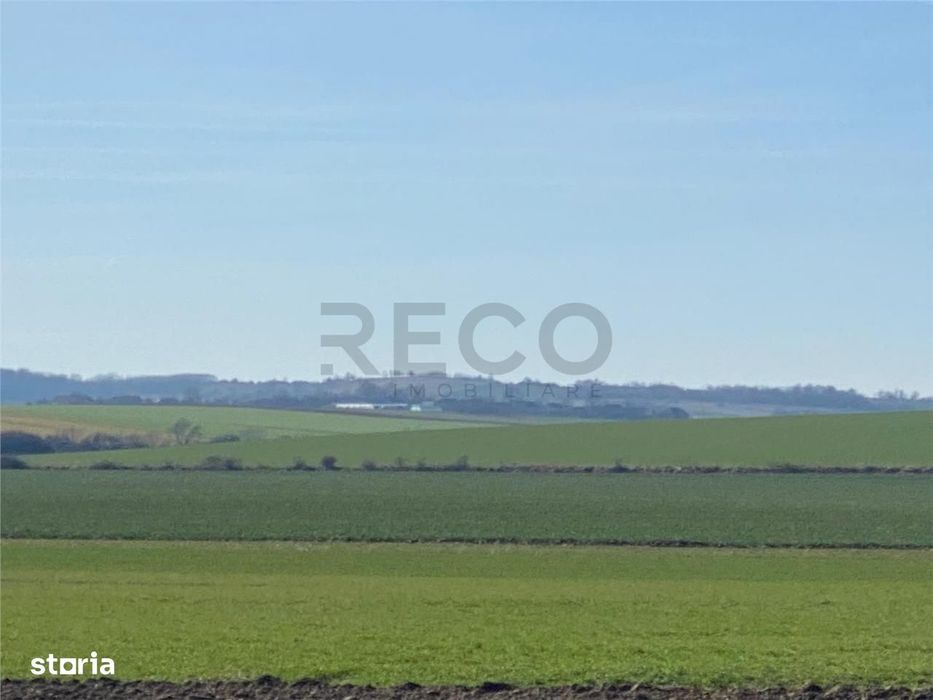 RECO Teren  pentru investitie  4ha Tauteu-Zona Autostrazii Transilvani
