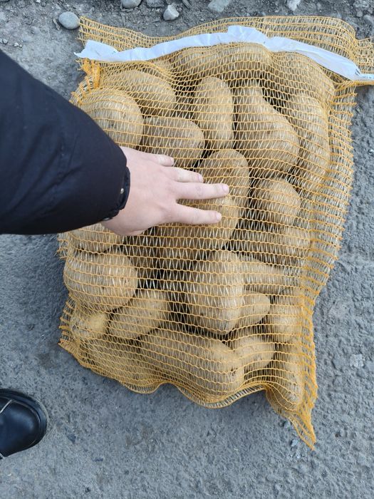 Cartofi alb calibru 75+