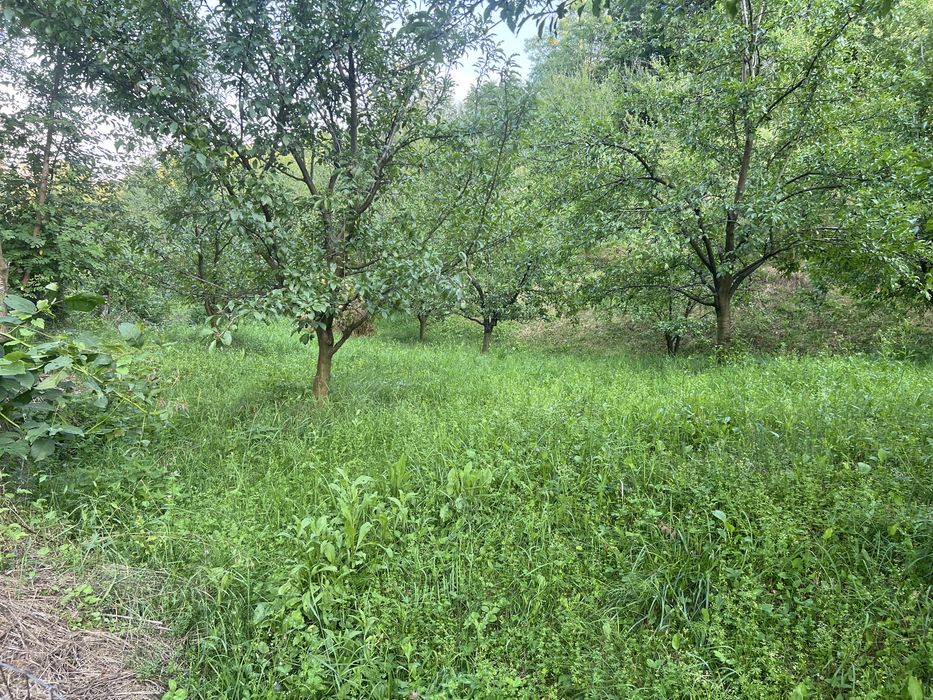 Teren intravilan de vânzare – 1.900 mp – Curtea de Argeș, cartier Nopateș