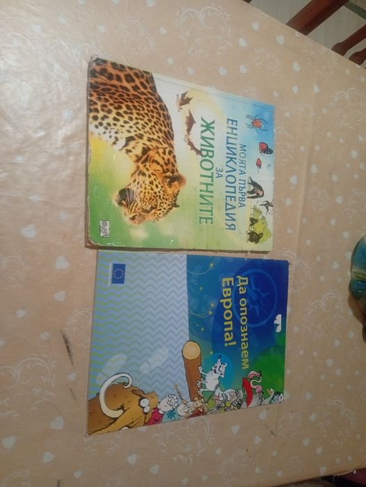 Децки книги за дечица