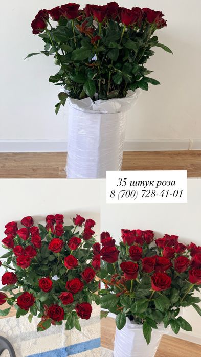Цветы свежие розы очень красивые в жизни
