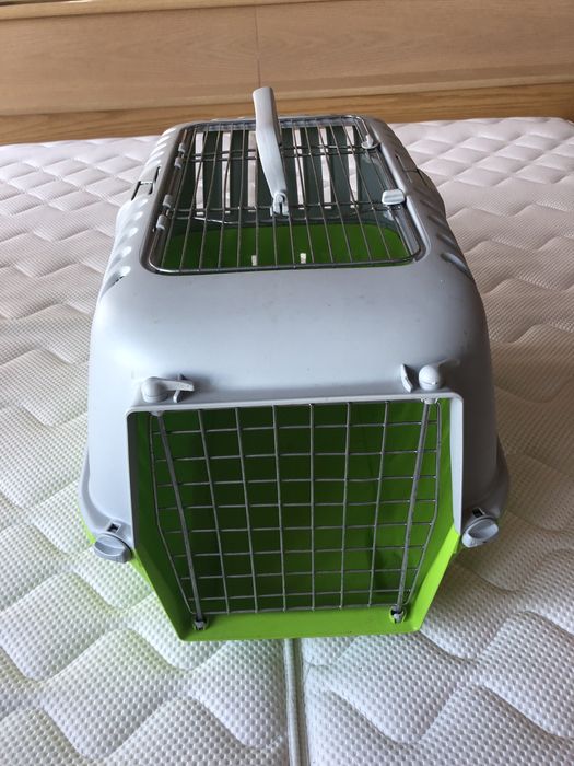 cusca transport pisici caini