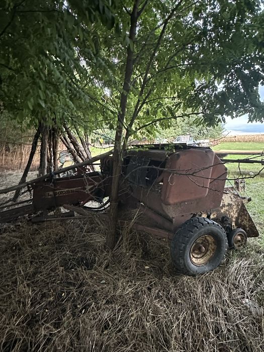 Balotiera sgorbati in stare buna
