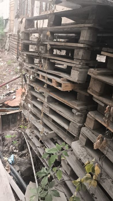 Дрова бесплатно самовывоз