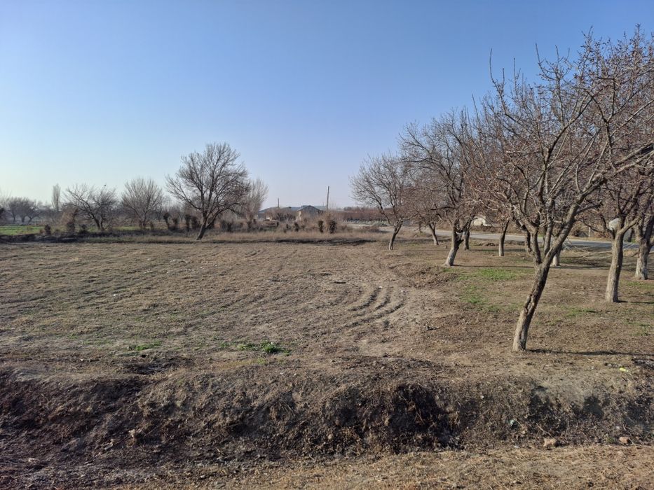 Yer sotiladi Buxoro viloyat shofirkon tuman