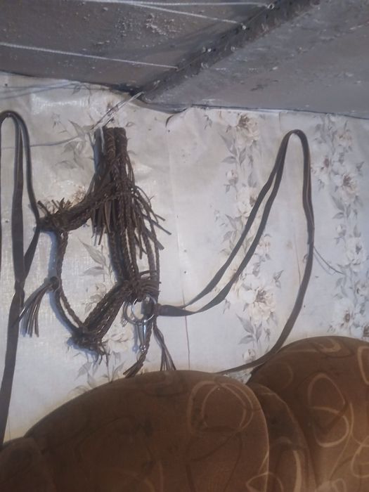 Уздечки новые ..