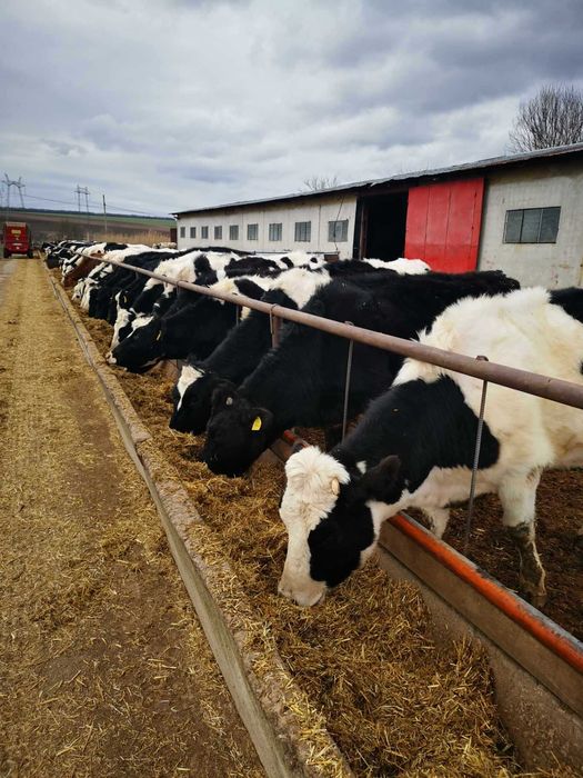 Продава се Промишлена сграда в Добрич, Дружба 3 - 1500 кв.м за 334 €/кв.м - Снимка #7