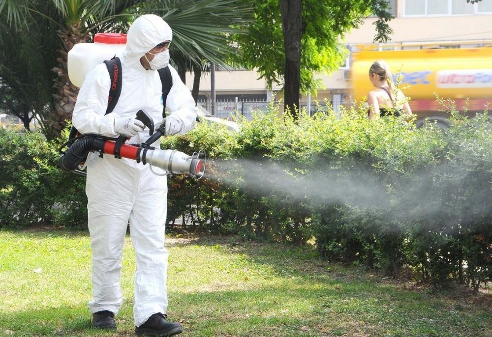 Serviciii Deratizare, Dezinfectie si Dezinsectie DDD Constanta
