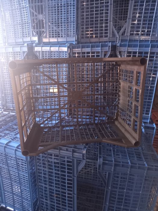 Lădițe de vînzare