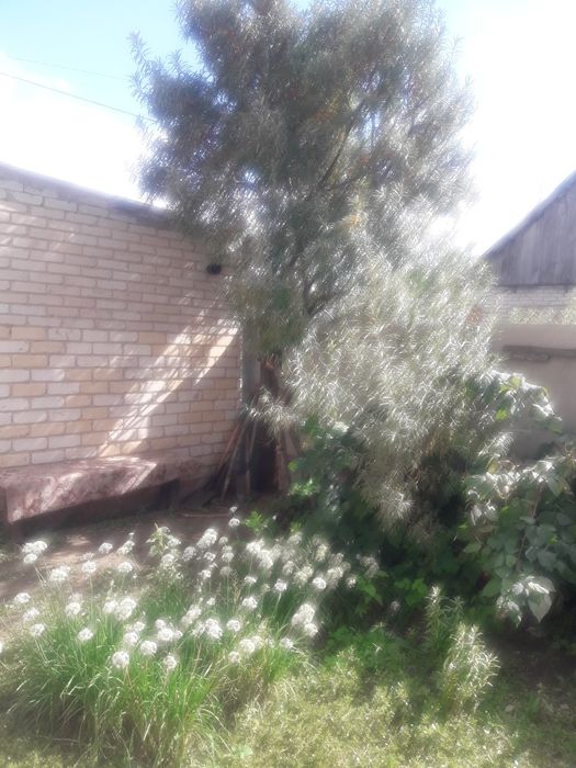 Продам дом район горгаз