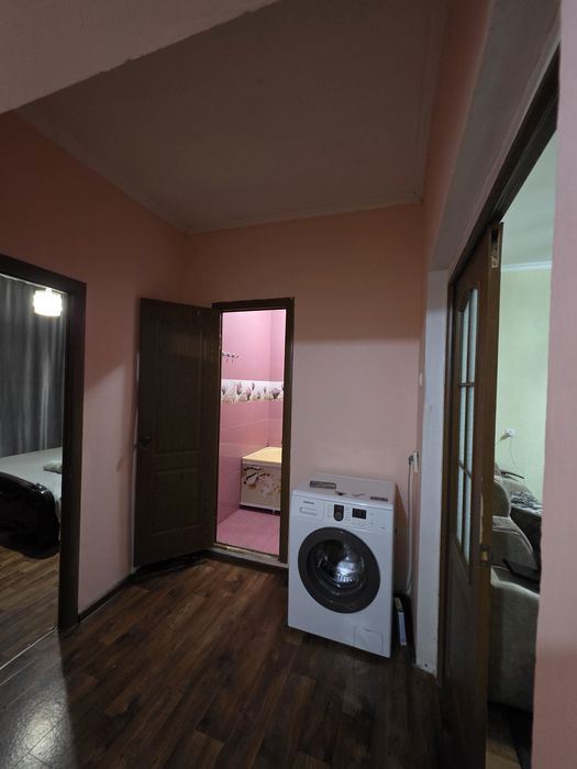 Платира пасуточный