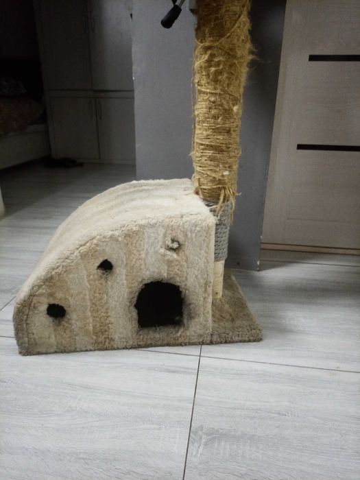 домик для кошки и собак