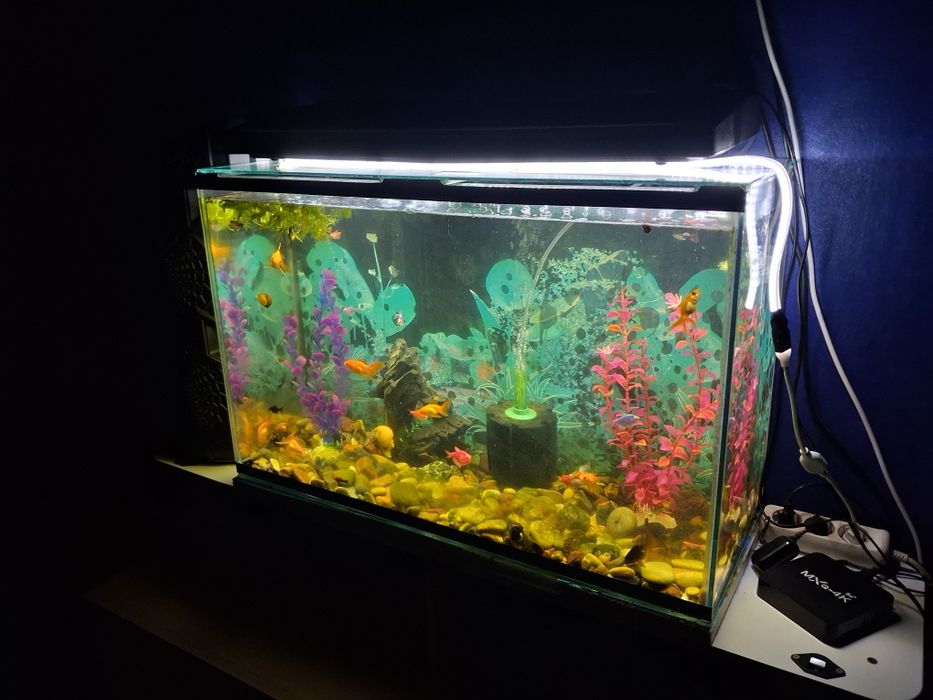 Продам отличныи коньки