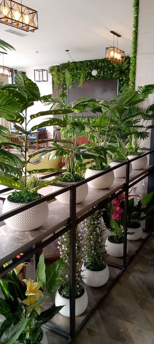 Искусственные растние. Суний гуллар. Искусственные деревья