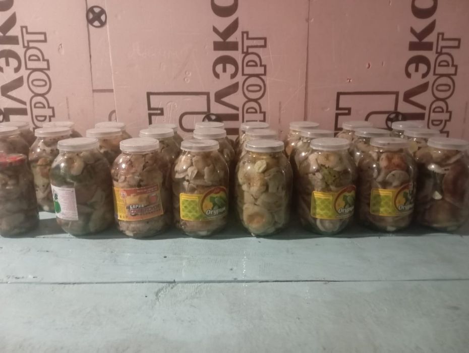 Продаю грибы белый груздь