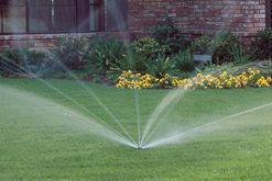 Amenajare si sisteme aspersie spatii verzi