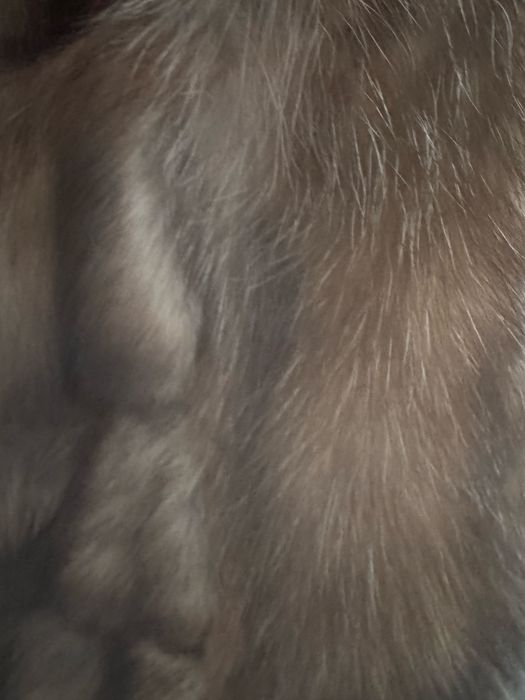 Соболиная шуба автоледи