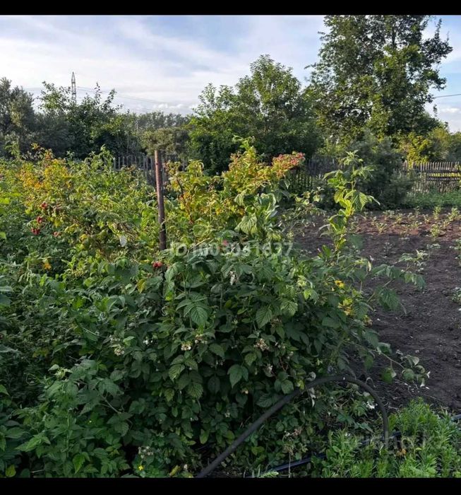 Продам дачу 10 соток