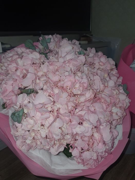 Продам цветы срочно