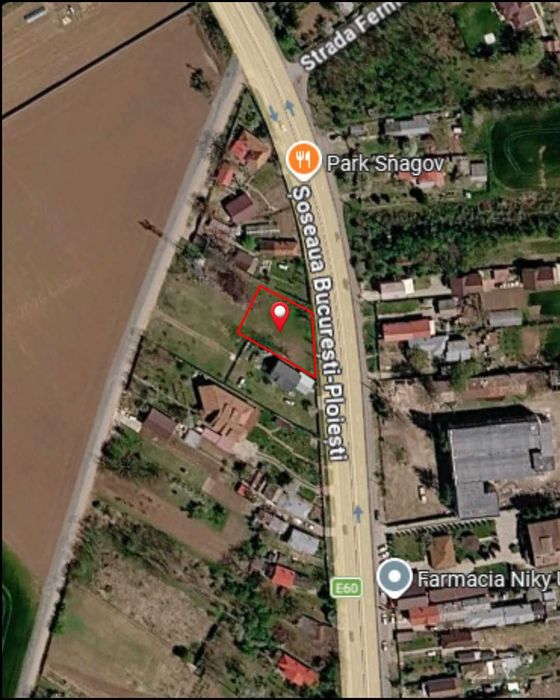 Teren intravilan 900 mp – deschidere 31 m la DN1 – Ciolpani, Ilfov
