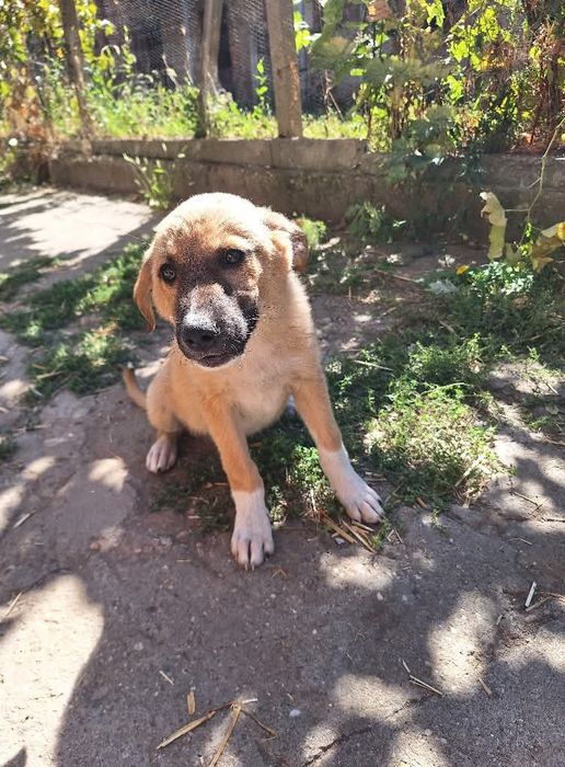 Подарява се Джея