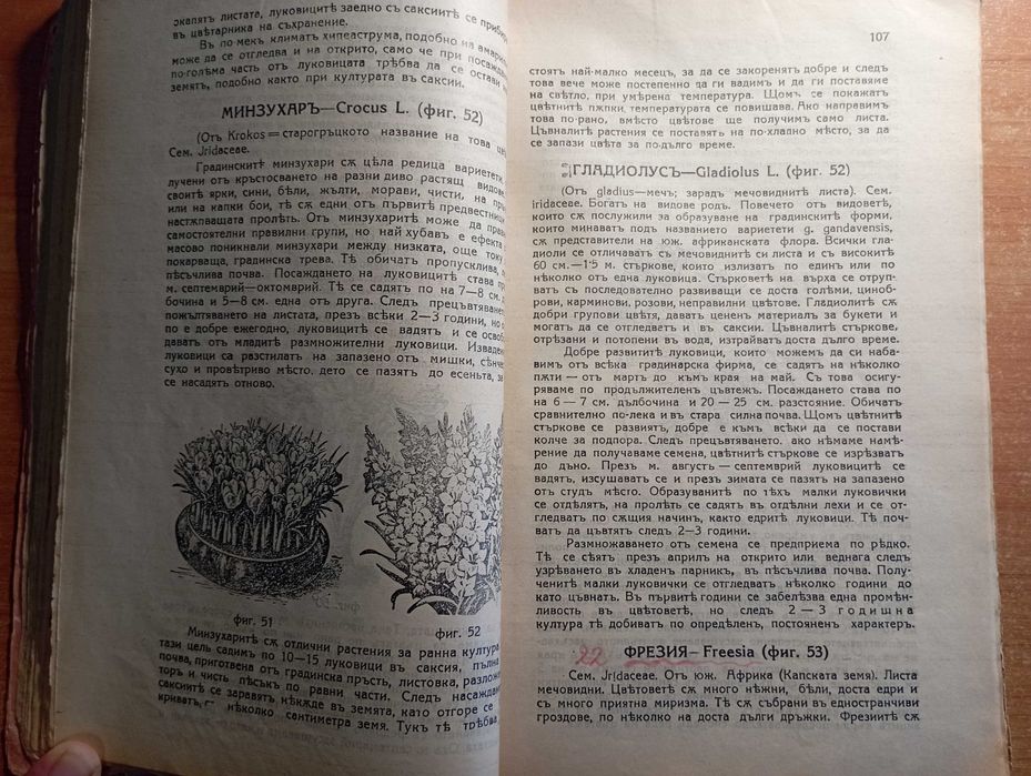 Ръководство по цветарство и уредбата на украсни градини - Стрибърни
