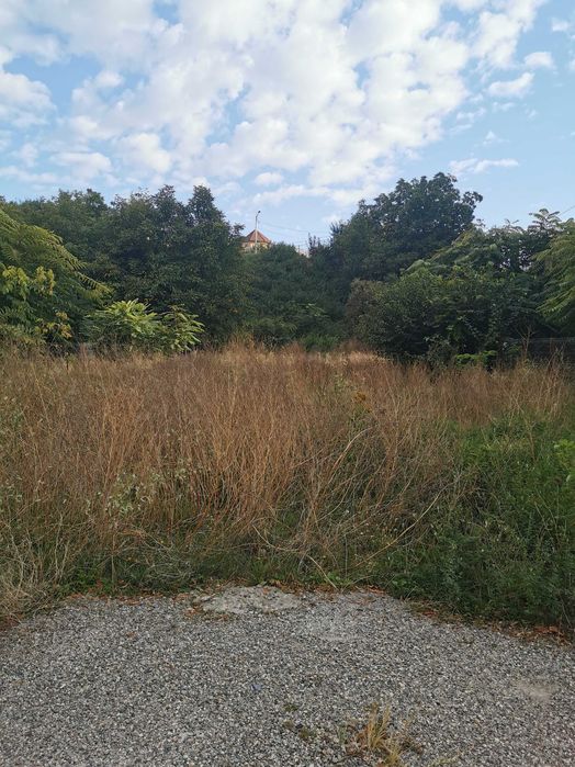 Curat terenuru ,defrișări , cosit vegetatie, taiat pomi, gunoi