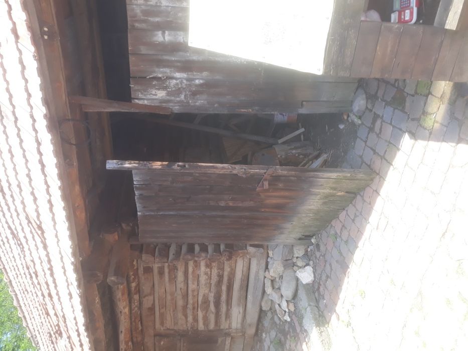 Sură veche lemn fag