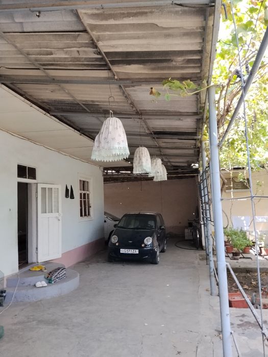 Bedana bor sayroqi