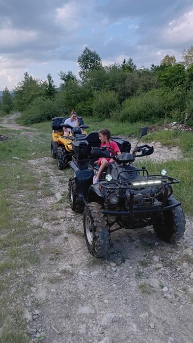 Vand linhai 300 worker 4x4 2009