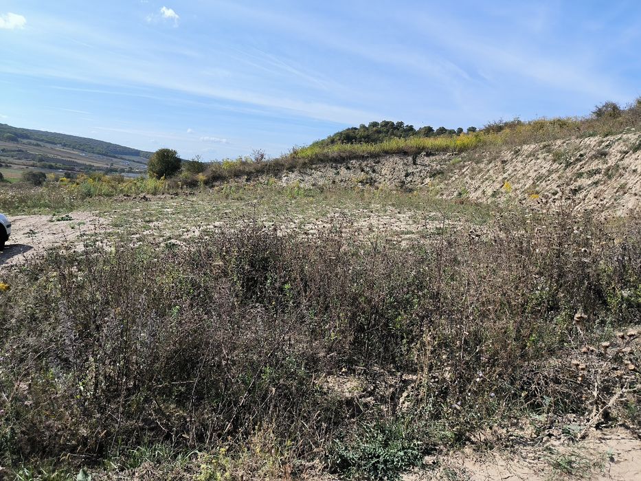 Oferta Teren intravilan 633 mp Livezeni