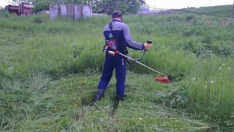 Покос Травы от 1500т.за сотку.