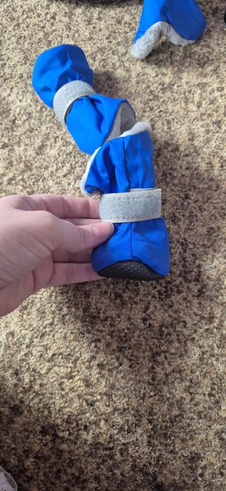 Одежда для собаки