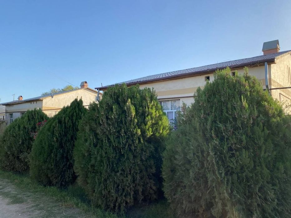 Surxondaryo viloyati Angor tumani Yangi shahar to'yxonasi yaqinida