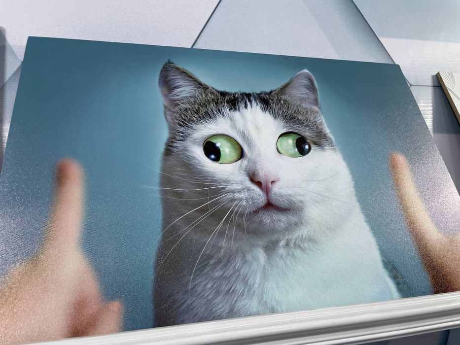 Xolst kartinki xoxlovchilar uchun