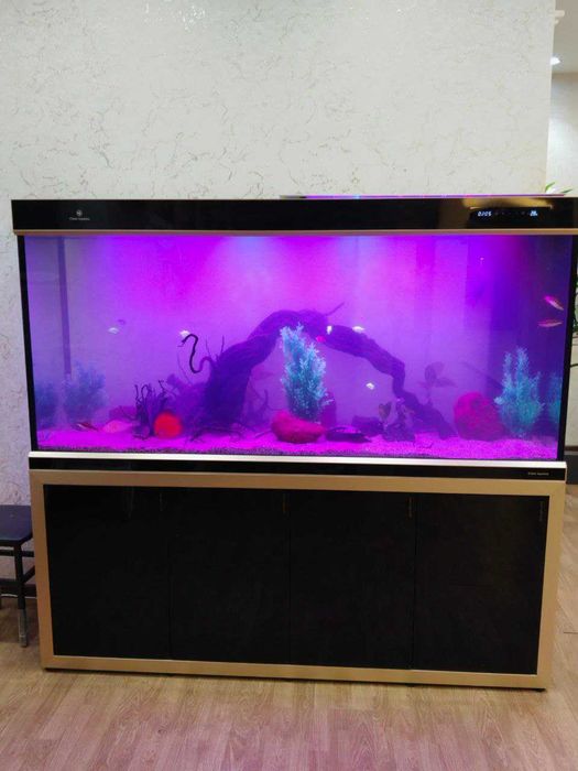 Профессиональная чистка аквариума AQUALlFE