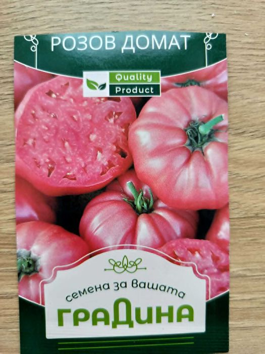 Разсад домати хасковски розов, розов и биволско сърце