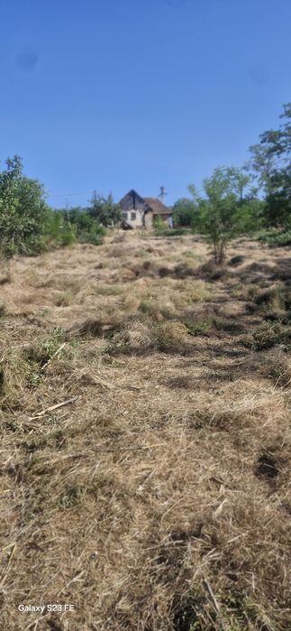 Teren pentru casă cu gradină