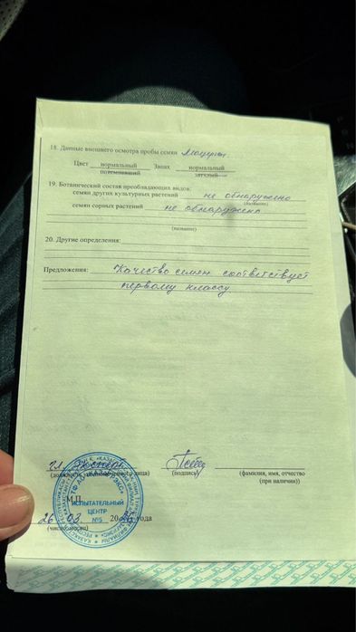 Семена люцерно. Жонышка урык. Беде