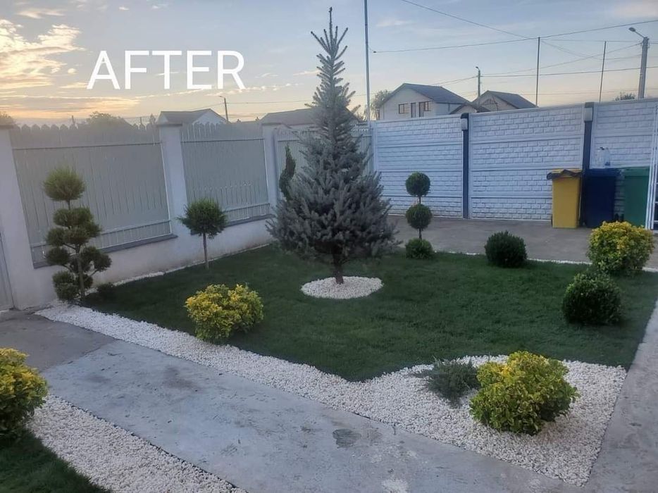 Gazon rulou sau sămânțare