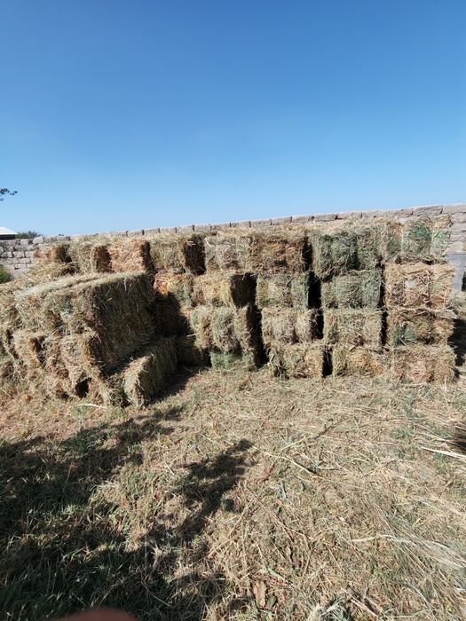 Beda  Makka sorgo aralash press sotiladi.