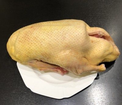 Мясо индоутки домашней.