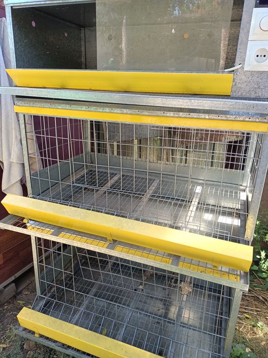 Брудер с клетками